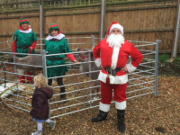 Broadland View santa and reindeer