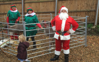 Broadland View santa and reindeer