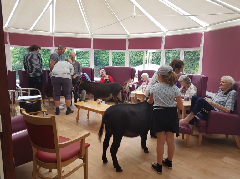 Residents meeting the Miniature Donkeys